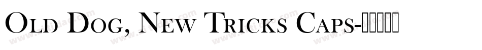 Old Dog, New Tricks Caps字体转换